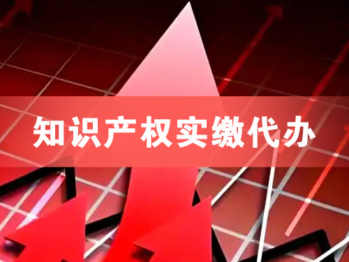 昌都知识产权实缴资本代办